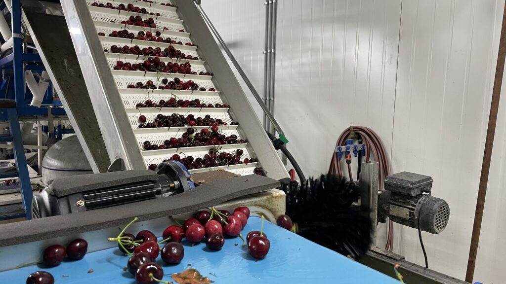 IMG_3440 cherryfactory